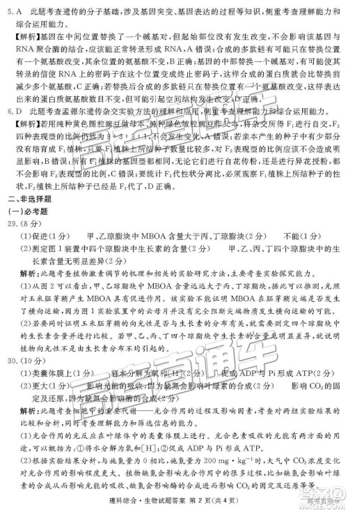 2019四川省眉山、遂宁、广安、内江四市联考理综试题及参考答案 2019四川省眉山、遂宁、广安、内江四市联考理综试题及参考答案