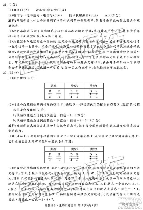 2019四川省眉山、遂宁、广安、内江四市联考理综试题及参考答案