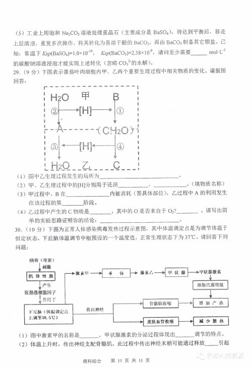 哈三中2018-2019学年度高三上期末测试理综试卷及答案 哈三中2018-2019学年度高三上期末测试理综试卷及答案