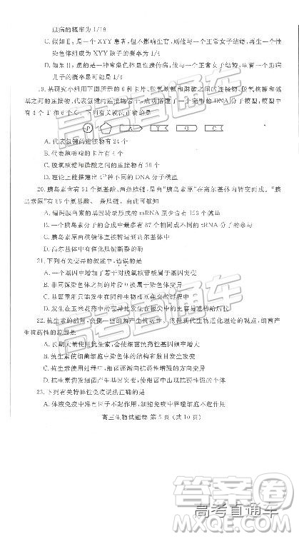 2019郑州一测理综试题及参考答案 2019郑州一测理综试题及参考答案