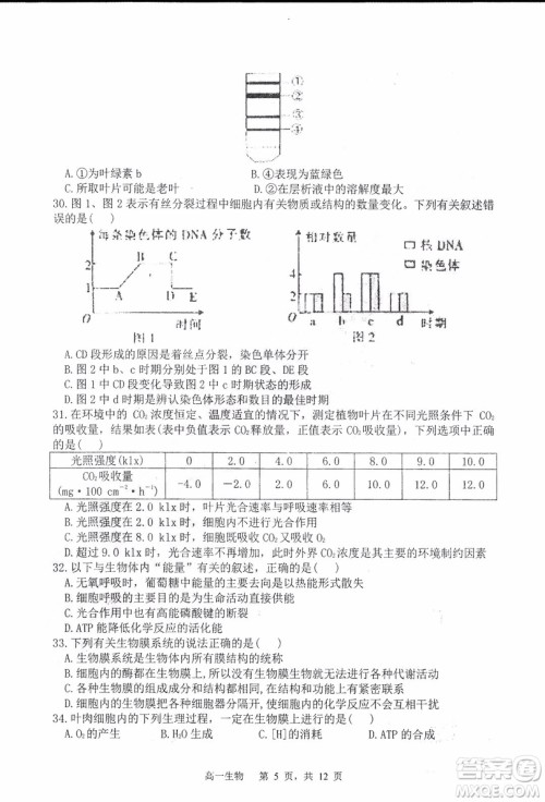 哈三中2018-2019学年度高一上期末测试生物试卷及答案 哈三中2018-2019学年度高一上期末测试生物试卷及答案