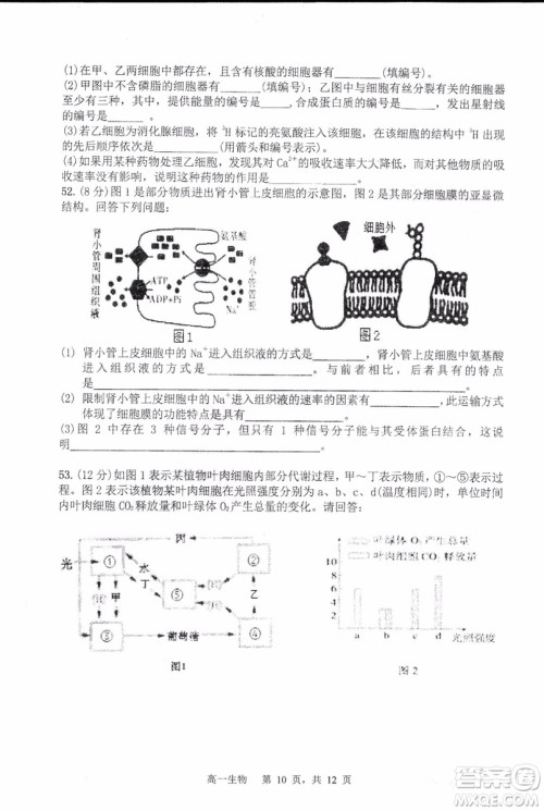 哈三中2018-2019学年度高一上期末测试生物试卷及答案 哈三中2018-2019学年度高一上期末测试生物试卷及答案