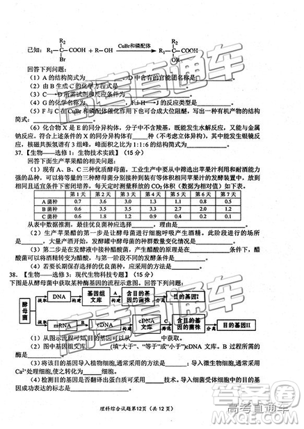 2019绵阳二诊理综试卷及答案解析 2019绵阳二诊理综试卷及答案解析