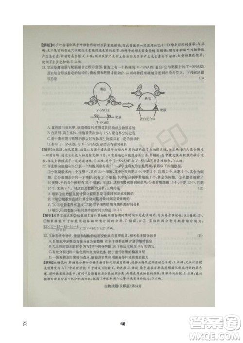 湖南长郡中学2019届高三月考试卷五生物试题及答案解析