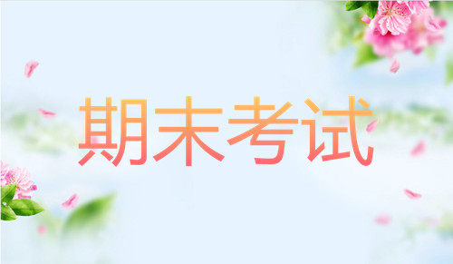 浙江省杭州市富阳区新登中学2019届高三上学期期末模拟语文试题及答案