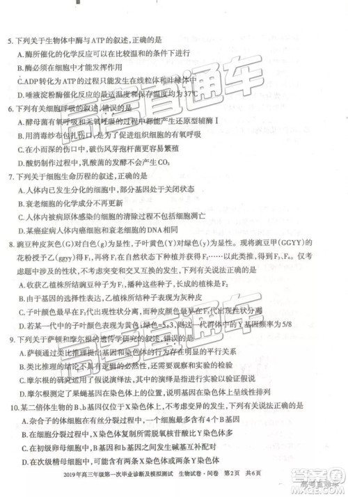 2019届高三新疆乌鲁木齐一诊理综试题及参考答案 2019届高三新疆乌鲁木齐一诊理综试题及参考答案