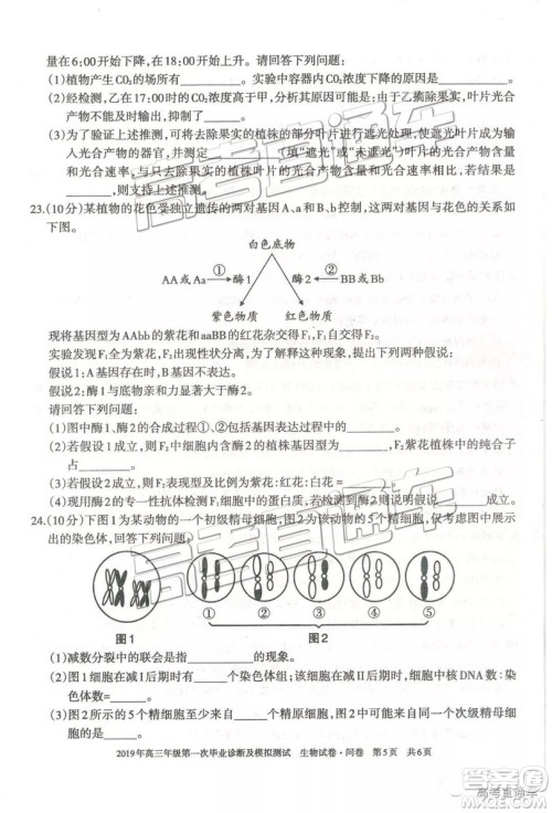 2019届高三新疆乌鲁木齐一诊理综试题及参考答案 2019届高三新疆乌鲁木齐一诊理综试题及参考答案