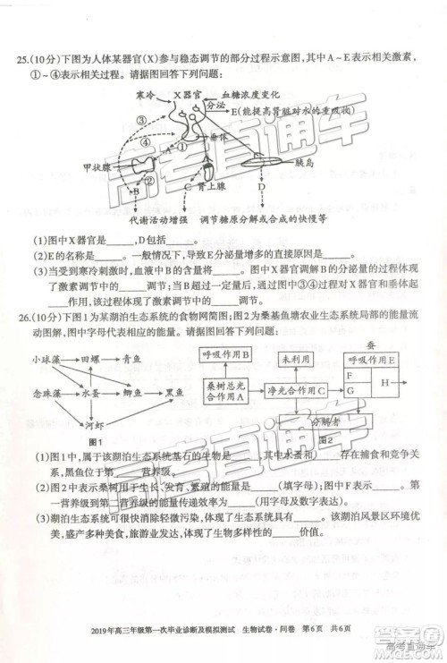 2019届高三新疆乌鲁木齐一诊理综试题及参考答案 2019届高三新疆乌鲁木齐一诊理综试题及参考答案