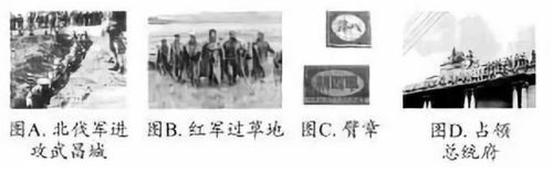 2018-2019学年度部编版八年级上历史名校期末考试真题卷四试题及答案解析 2018-2019学年度部编版八年级上历史名校期末考试真题卷四试题及答案解析