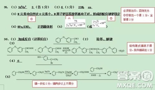 2018-2019学年度上学期沈阳市郊联体期末考试高三理科综合试题答案