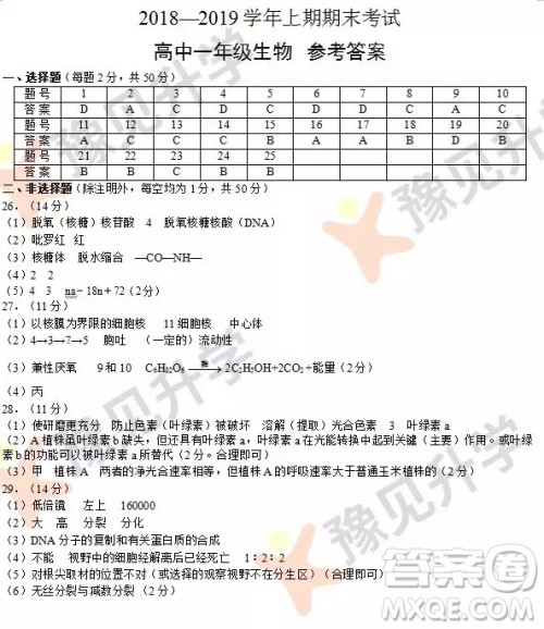 2018-2019郑州高一年级上学期期末考试生物参考答案