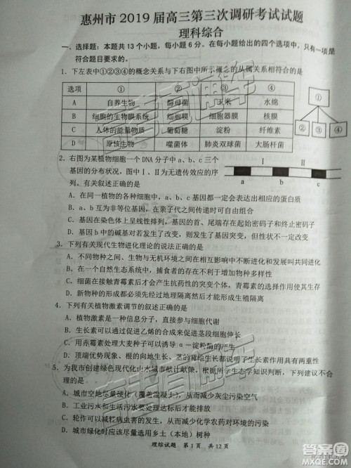 2019届高三惠州三调理综试题及参考答案 2019届高三惠州三调理综试题及参考答案