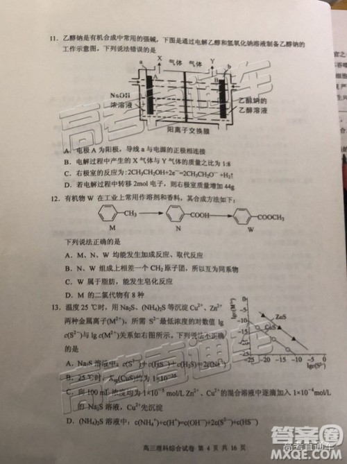 清远市2018-2019学年度第一学期期末教学质量检测高三理综试题及答案解析