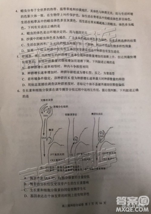 清远市2018-2019学年度第一学期期末教学质量检测高三理综试题及答案解析