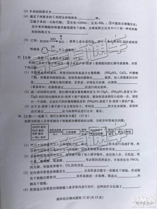 韶关市2019届高三调研考试理综试卷及答案