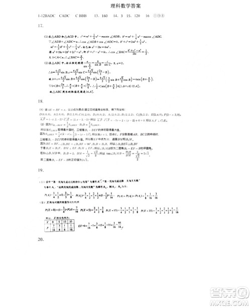 哈尔滨市第六中学2019届高三上学期期末考试数学理工类试卷及答案