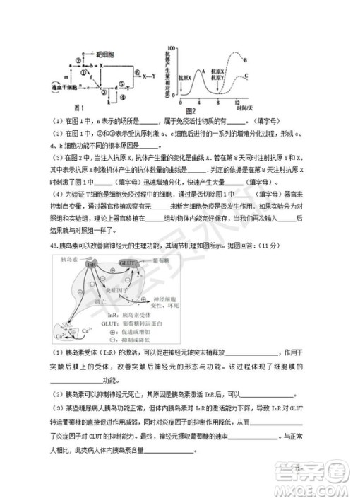 2018-2019学年黑龙江省鹤岗市第一中学高二上学期期末考试生物试题及答案