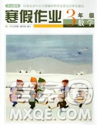 2019武汉出版社春季开心假期寒假作业三年级数学人教版答案
