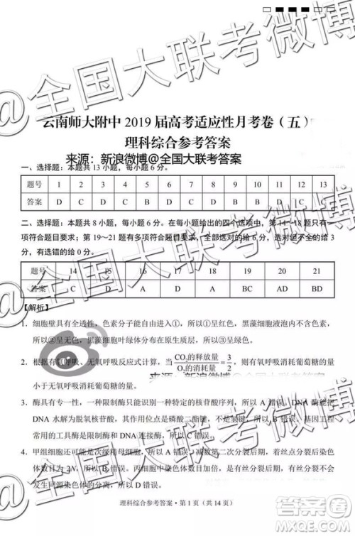 云南师大附中2019届高考适应性月考卷五理科综合答案解析 云南师大附中2019届高考适应性月考卷五理科综合答案解析