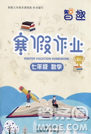 智趣寒假作业2019新版七年级数学北师大BS版答案