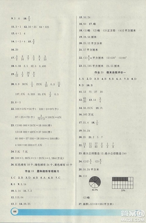 钟书金牌2019寒假作业导与练数学六年级上海专版参考答案
