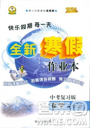 2019年优秀生全新寒假作业本九年级化学中考复习版第二代新课标通用版参考答案