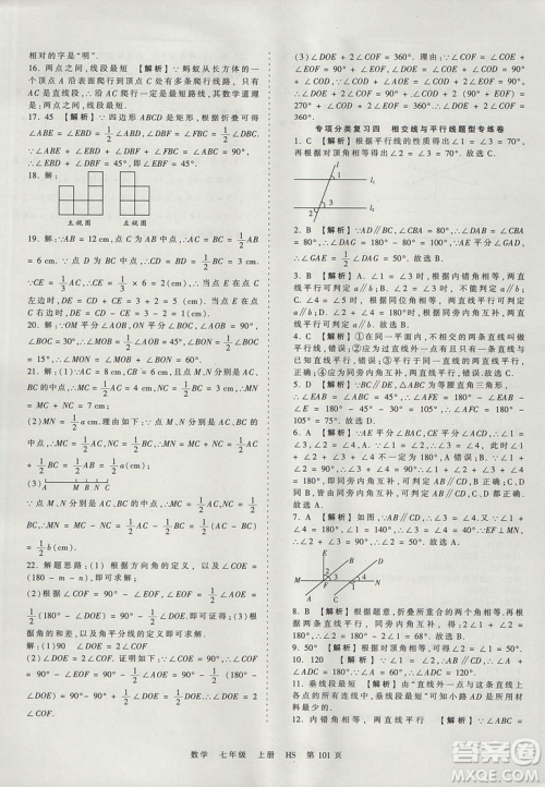 华师版HS2019版王朝霞考点梳理时习卷七年级上册数学参考答案
