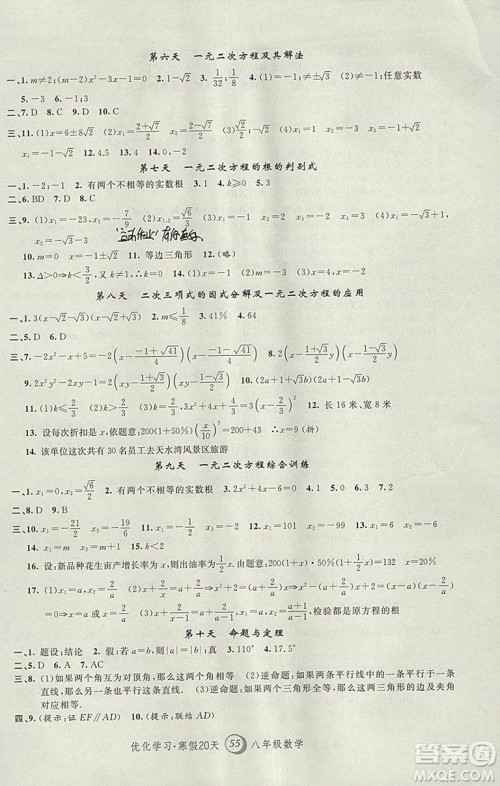 2019年优化学习寒假20天数学八年级第8版沪教版答案