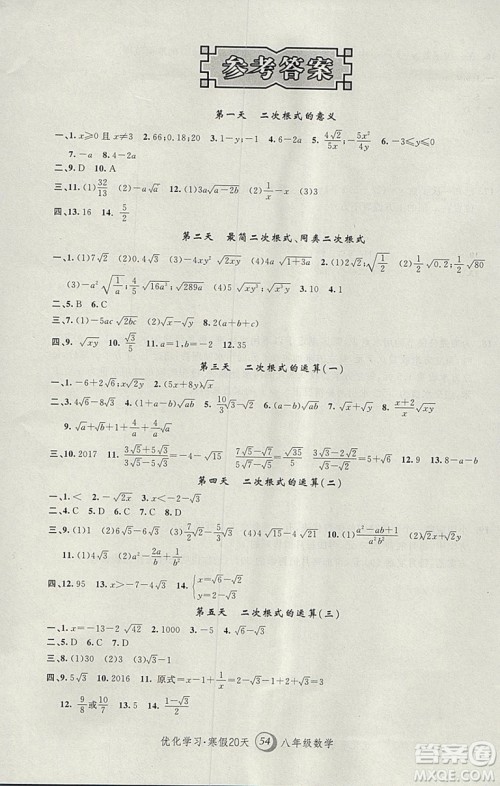 2019年优化学习寒假20天数学八年级第8版沪教版答案