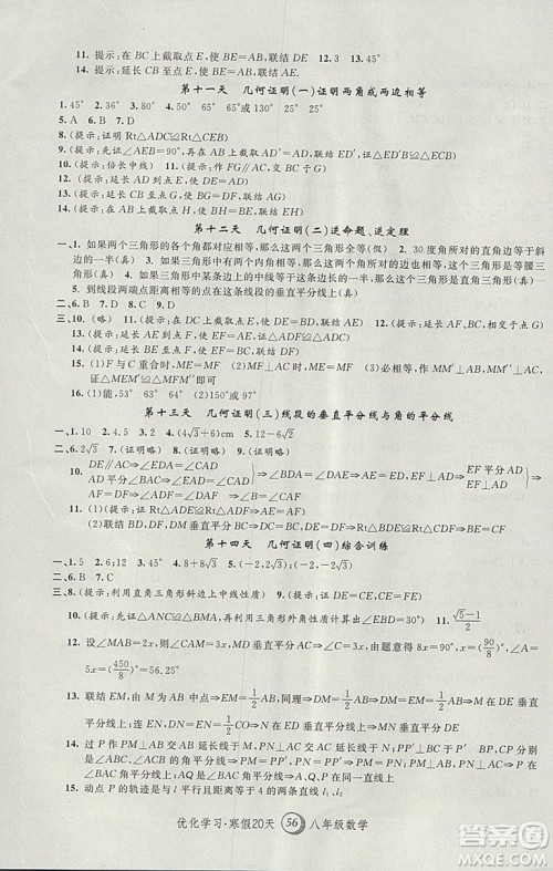 2019年优化学习寒假20天数学八年级第8版沪教版答案