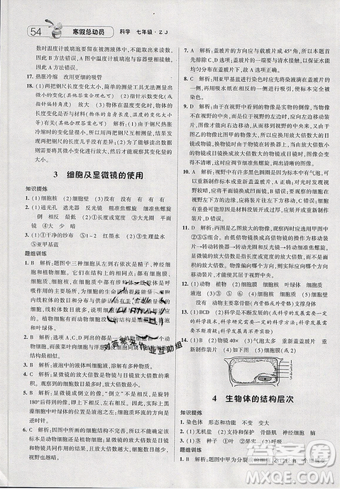 经纶学典寒假总动员2019七年级科学浙教版ZJ参考答案 经纶学典寒假总动员2019七年级科学浙教版ZJ参考答案