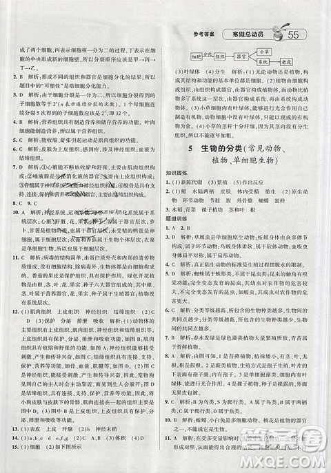 经纶学典寒假总动员2019七年级科学浙教版ZJ参考答案 经纶学典寒假总动员2019七年级科学浙教版ZJ参考答案
