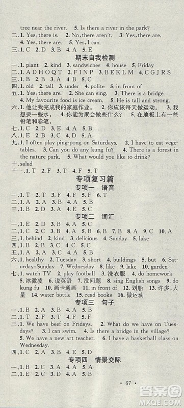学习总动员2019春寒假总复习五年级英语人教PEP版答案 学习总动员2019春寒假总复习五年级英语人教PEP版答案