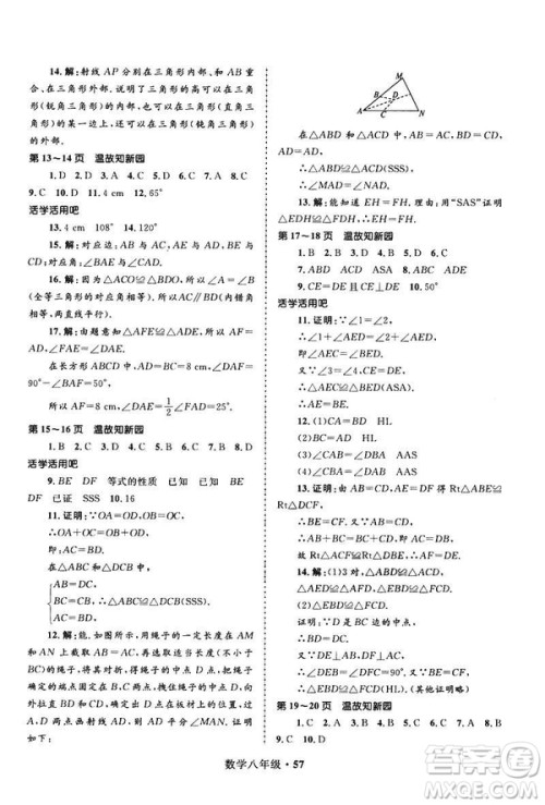 2019年赢在起跑线中学生快乐寒假8年级数学参考答案