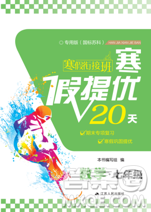 2019年寒假衔接班寒假提优20天七年级数学专用版国标苏科版参考答案