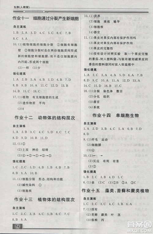 文轩图书2019寒假假期生活指导七年级生物答案