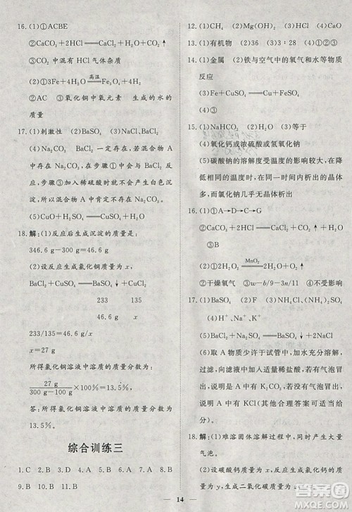 文轩图书2019寒假假期生活指导九年级化学答案 文轩图书2019寒假假期生活指导九年级化学答案