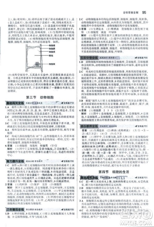 2019新版5年中考3年模拟七年级上册生物人教版RJ参考答案