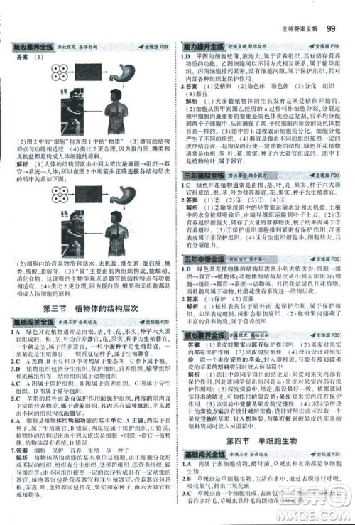 2019新版5年中考3年模拟七年级上册生物人教版RJ参考答案