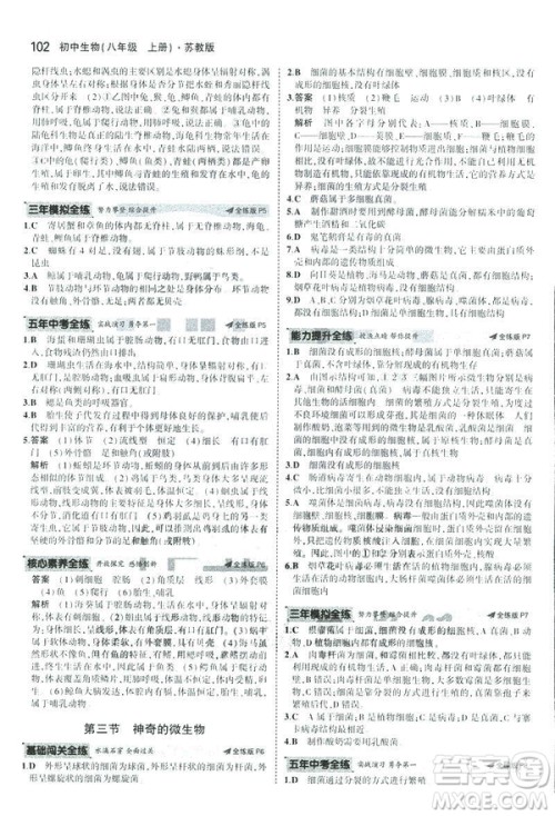 2019版初中同步5年中考3年模拟八年级上册生物苏教版SJ参考答案 2019版初中同步5年中考3年模拟八年级上册生物苏教版SJ参考答案