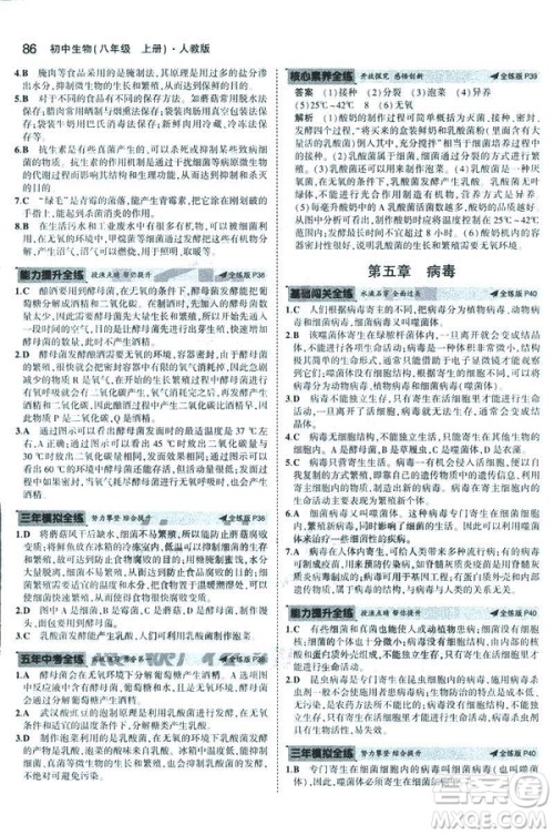 2019版5年中考3年模拟生物八年级上册人教版RJ参考答案
