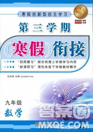 寒假创新型自主学习2019版第三学期寒假衔接数学九年级Z浙教版参考答案 寒假创新型自主学习2019版第三学期寒假衔接数学九年级Z浙教版参考答案