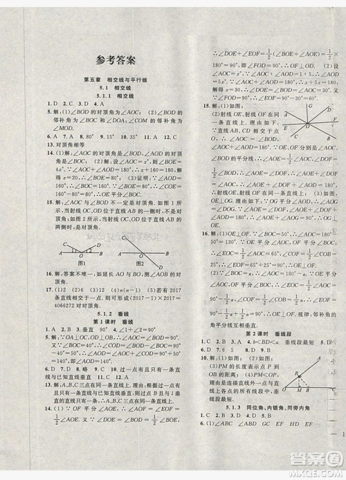 2019体验型学案体验新知高效练习七年级下册数学人教版答案 2019体验型学案体验新知高效练习七年级下册数学人教版答案
