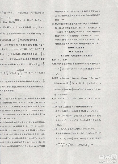 2019体验型学案体验新知高效练习八年级下册数学沪科版答案