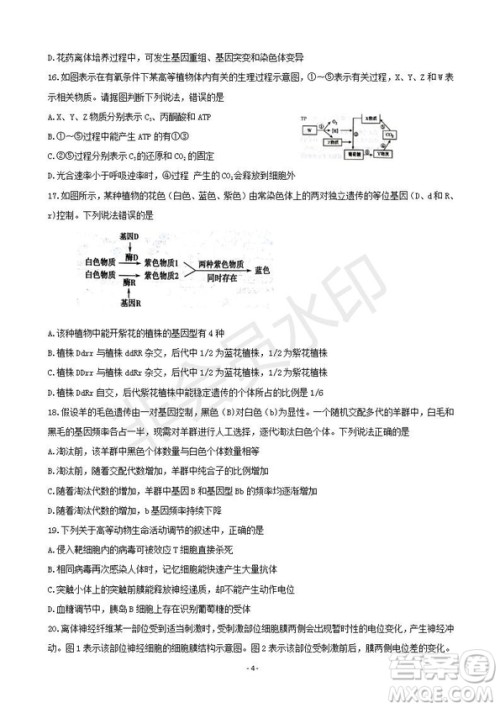 2019届湖南省岳阳市高三教学质量检测一生物试题及答案