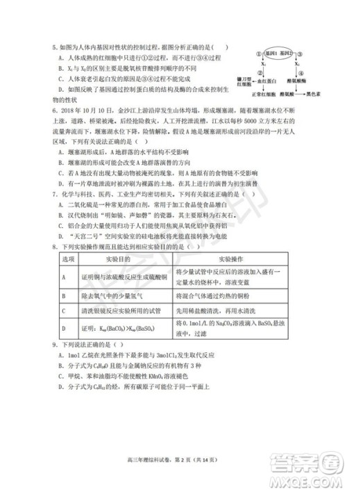 永春一中培元中学季延中学石光中学2019届高三年毕业班第二次联合考试卷理科综合试题及答案 永春一中培元中学季延中学石光中学2019届高三年毕业班第二次联合考试卷理科综合试题及答案