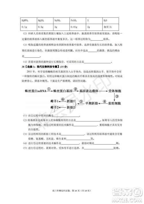 永春一中培元中学季延中学石光中学2019届高三年毕业班第二次联合考试卷理科综合试题及答案 永春一中培元中学季延中学石光中学2019届高三年毕业班第二次联合考试卷理科综合试题及答案