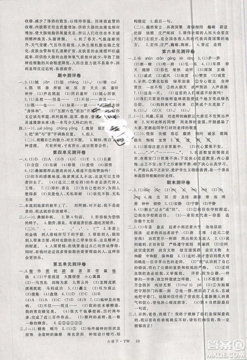 优翼丛书2019版学练优小学语文六年级下册YW语文版参考答案 优翼丛书2019版学练优小学语文六年级下册YW语文版参考答案