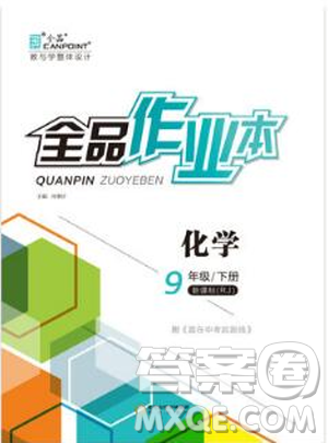 2019人教版全品作业本九年级化学下册新课标RJ阳光出版社参考答案