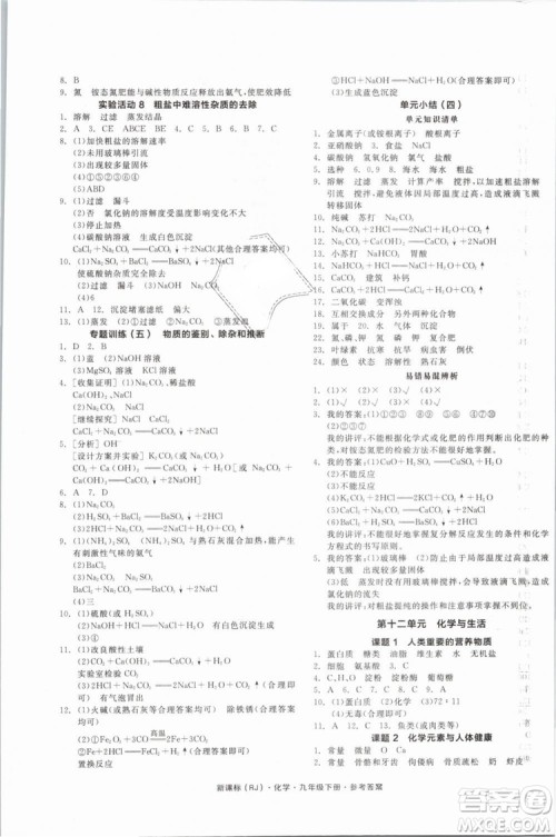 2019人教版全品作业本九年级化学下册新课标RJ阳光出版社参考答案